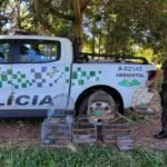 Polícia Ambiental aplica multa de R$ 3 mil por aves silvestres em cativeiro em Araçatuba