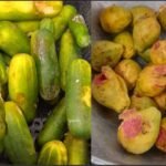 Câmara de Penápolis cobra explicações sobre qualidade da merenda escolar