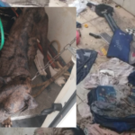 Cachorro é resgatado pela GCM e Canil após ser deixado abandonado para morrer em imóvel de Birigui