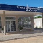 Mulher de 20 anos é presa por maus-tratos após levar cão para eutanásia em Araçatuba