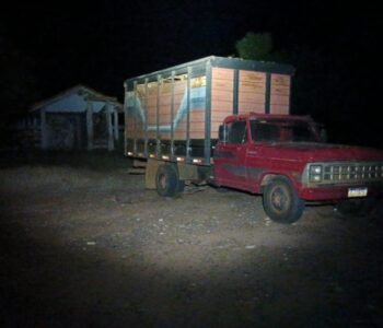 IMG-20260508-WA0048.jpg