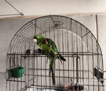 IMG-20260704-WA0046