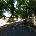 Araçatuba avalia arborização do São Vicente em preparação para obras de recapeamento