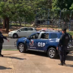GEP da GCM prende homem suspeito de maus-tratos contra cadela em Araçatuba