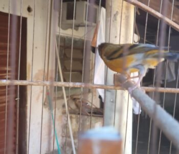 IMG-20261026-WA0055